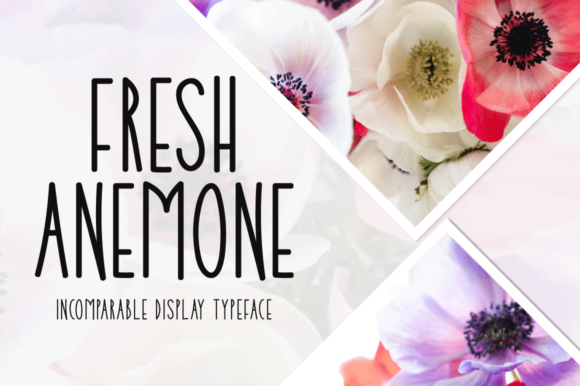 Fresh Anemone Font: Adding Joy to Web Layouts